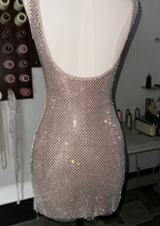 Amara Sparkle Backless Mesh Mini Dress