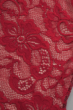 Scarlet Fishtail Elegance Lace Halter Maxi Dress