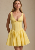 Sole Deep V Lace Mini Dress
