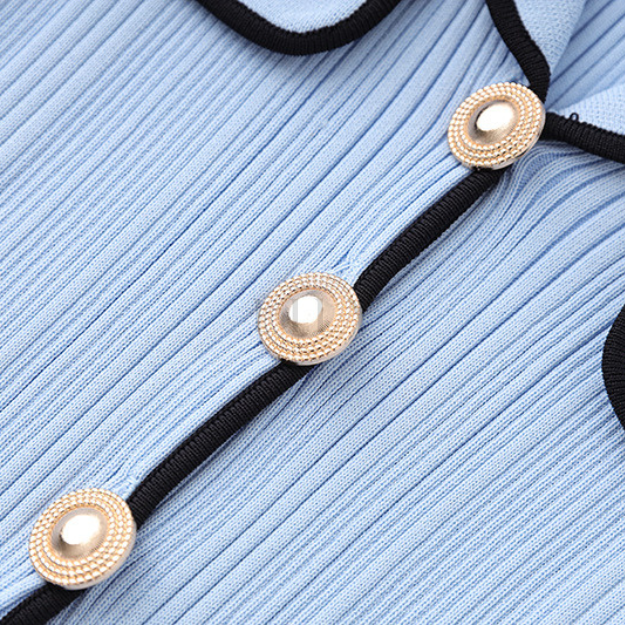 Siena  Knit Buttoned Flare Mini Dress - Blue