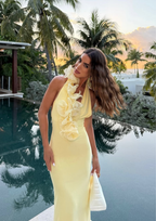 Sunlit Bloom Deep V Backless Maxi Dress