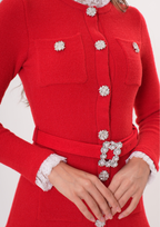 Royale Knit Pearl Belted Mini Dress