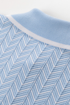 Skyline Chevron Viscose Polo Knit  Light Blue Textured Top